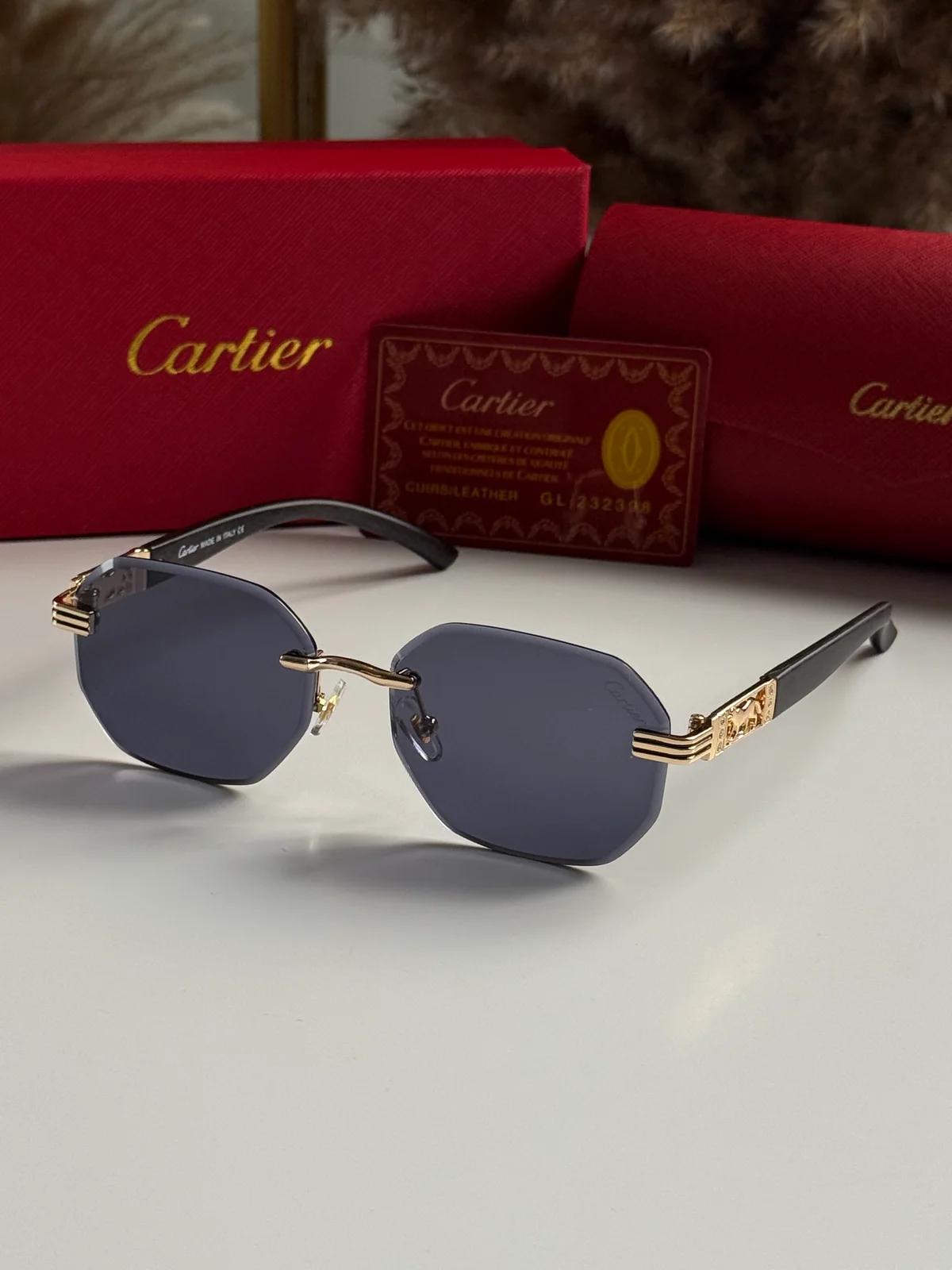 Окуляри Cartier 3123 — Універсальний